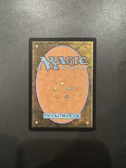 Tamiyo, Field Researcher (Borderless) Foil NM MTG Bloomburrow BLB BLC Magic - Image 2