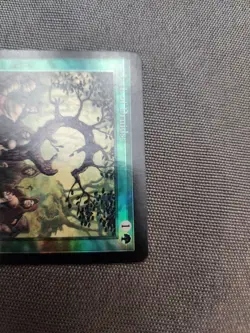 Oath of Druids ?FOIL?(MISPRINT) Judge Promo MTG NM - Image 2