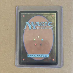Wasteland ?? Borderless FOIL ?? Encyclopedia Countdown Secret Lair - Image 2