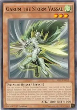 Garum the Storm Vassal - SR01-EN015 - Common 1st Edition Yugioh - Image 1