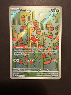 Shuckle - 136/132 Pokemon TCG Mega Evolution Illustration Rare IR Pokemon Card - Image 1