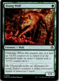 Young Wolf FOIL Innistrad Remastered MTG NM - Image 1