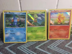 Pokemon XY Black Star Promo Card Set (Hoenn Starter Trio) - Image 1