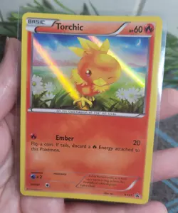 Pokemon XY Black Star Promo Card Set (Hoenn Starter Trio) - Image 2