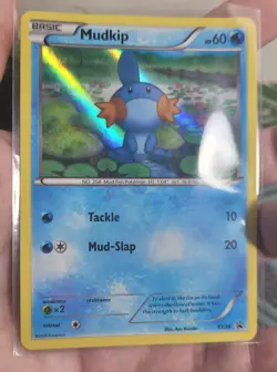 Pokemon XY Black Star Promo Card Set (Hoenn Starter Trio) - Image 5
