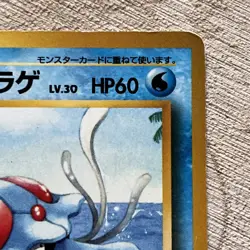 Tentacruel No.073 Dragonite 1999 Southern Island Promo Japanese Pokemon Card LP - Image 4