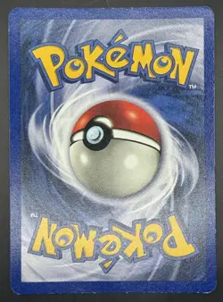 Pokemon TCG Kangaskhan Holo Jungle WOTC 5/64 LP - Image 2