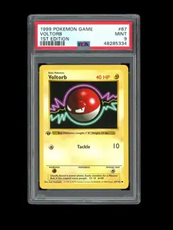 Pokemon PSA 9 MINT Voltorb 1st Edition Shadowless Base Set 1999 Card 67/102 - Image 1