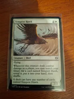 x4 Tempest Hawk TDM Tarkir Dragonstorm MTG 31 COMMON M/NM 4x - Image 1