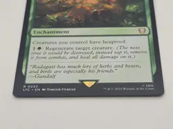 Asceticism #233 (NM) Lord of the Rings LTC Magic MTG - Image 2