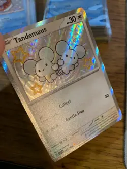 NM! Tandemaus (209/091) Paldean Fates Baby Shiny Rare Pokemon Card! FREE P&P! - Image 3