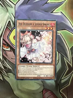 SDWD-EN017 Ash Blossom & Joyous Spring Common 1st Edition NM Yugioh Card - Image 1
