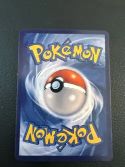 Pokemon Squirtle With Grey Felt Hat Van Gogh Art Style Custom Card - Image 2