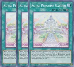 Yugioh - Royal Penguins Garden x 3 - 1st Edition NM - Plus Free Holographic Card - Image 1