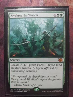 Awaken the Woods The Brothers' War Regular - Image 1