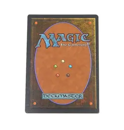 Adarkar Wastes Magic The Gathering MTG Ice Age LP - Image 2