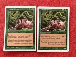 Carte Magic MTG 5eme edition (5ED) - Brume affamee x2 FR EX - Image 1