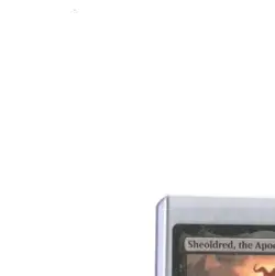 Sheoldred, the Apocalypse (Phyrexian) Dominaria United Regular - Image 2