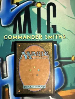 Mithril Coat ? SURGE FOIL ? Borderless Extended MTG NM Near Mint LOTR (0790) - Image 2