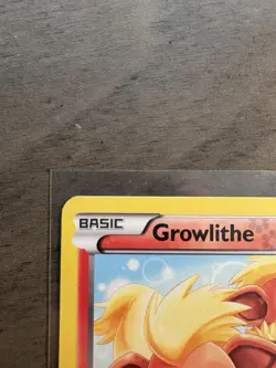 Growlithe RC4/RC25 Legendary Treasures: Radiant Collection Holo 2013 Pokemon - Image 2