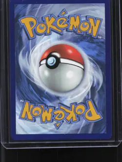 Tornadus - Promo SV: Scarlet & Violet Promo Cards 210 NM - Image 2