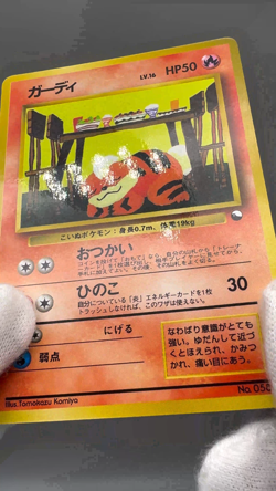 Growlithe No.058 Vending Series 3 Old back Vintage Glossy Japanese Pokemon Card - Image 2