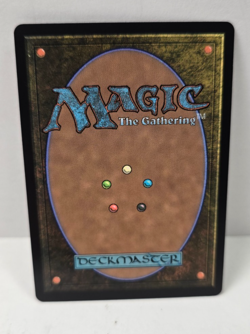 Tiger-Seal 0318 Rare Borderless - MTG Magic: Avatar the Last Airbender - Image 2