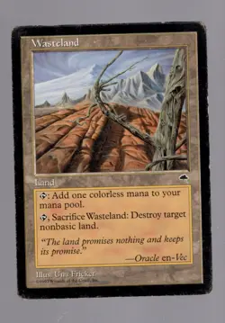 Mtg Wasteland Tempest LP MAGIC GATHERING CARD 003 - Image 1