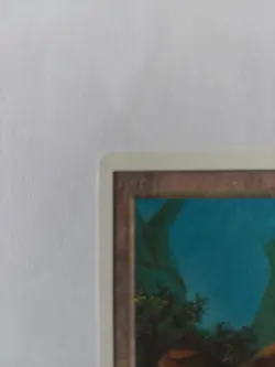 Forest (A Rocks) Unlimited MINT Basic Land MAGIC MTG CARD X 5 CARDS LOT - Image 2