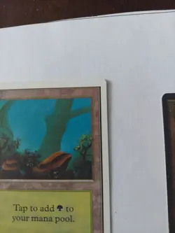 Forest (A Rocks) Unlimited MINT Basic Land MAGIC MTG CARD X 5 CARDS LOT - Image 3