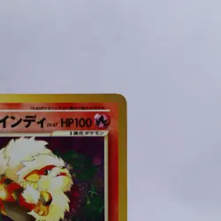Light Arcanine No.059 Holo Neo Destiny Old Back Pokemon Card Japanese 2001 V2 - Image 3
