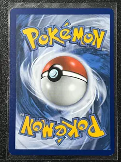 Quilava 024/189 Reverse Holo Uncommon Astral Radiance Pokemon Pack Fresh - Image 4