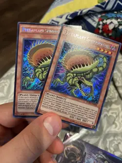 2x Predaplant Spinodionaea - FUEN-EN004 - Secret Unlimited Ed Yugioh - NM - Image 1