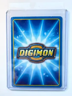*Digimon Cards (Taco Bell) Lot of 13 cards w/ WARGREYMON Saberleomon Kuwagamon!* - Image 3