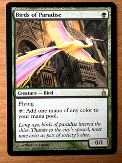 MTG Birds of paradise Ravnica NM ENG 2 available - Image 2