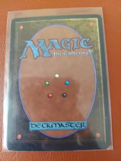 MTG Benalish Hero Unlimited Edition Regular Common LP - Image 2