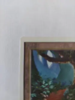MTG Forest Unlimited MTG Forest Near Mint Condition - Image 2