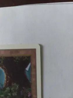 MTG Forest Unlimited MTG Forest Near Mint Condition - Image 3