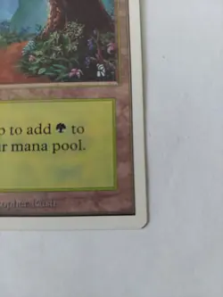 MTG Forest Unlimited MTG Forest Near Mint Condition - Image 4
