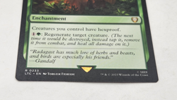 Asceticism - 233 - NM - Commander: The Lord of the Rings - MTG - Image 5