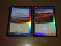 FOIL Lands lot Odyssey Japanese x10 mtg SP,MP [FC] E - Image 2
