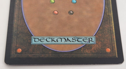 MTG Primal Rage Tenth Edition 286/383 Regular Uncommon LP - Image 3