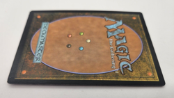 Arcane Sanctum | MtG Magic Modern Masters 2017 | English | Lightly Played (LP) - Image 3