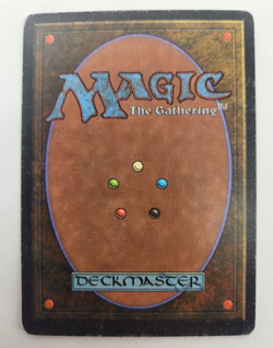 MTG Magic Consecrate Land English Unlimited MP/HP - Image 2