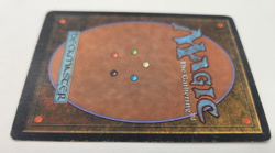 MTG Magic Consecrate Land English Unlimited MP/HP - Image 4