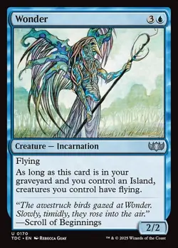 Wonder Commander: Tarkir: Dragonstorm NM MTG Non-Foil - Image 1