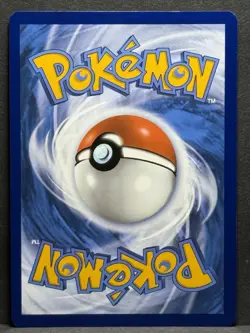 Galarian Moltres SWSH284 Holo Promo Card Sword & Shield Near Mint NM Condition - Image 2