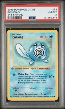 Pokemon Poliwag 1st Edition Shadowless 1999 Base Set #59 PSA 8 Near Mint NM Mint - Image 1