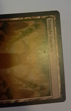Temple Garden LP Magic the Gathering Return to Ravnica MTG - Image 3