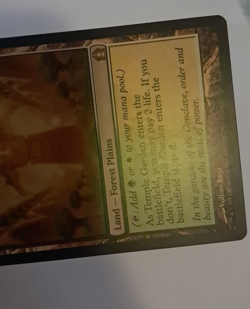 Temple Garden LP Magic the Gathering Return to Ravnica MTG - Image 4